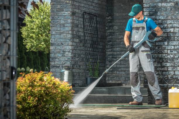 Animal Enclosure Cleaning in Throop, PA
